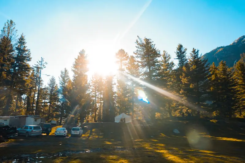Sun rays cast over a serene forest campsite with tents and parked vehicles, creating a warm outdoor scene