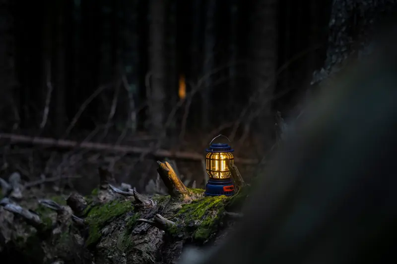 A glowing lantern on a forest log creates a mystical night ambiance in the woods of Bursa, Türkiye